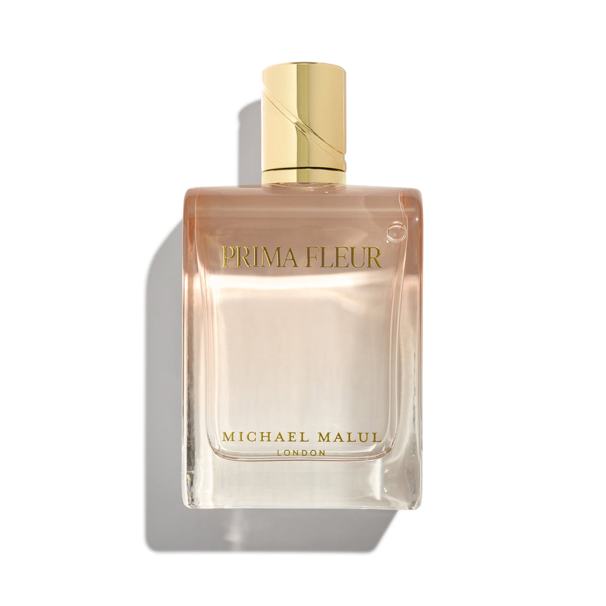 Michael Malul Prima Fleur